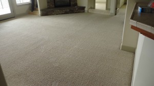 Carpet Dry Time in El Dorado County