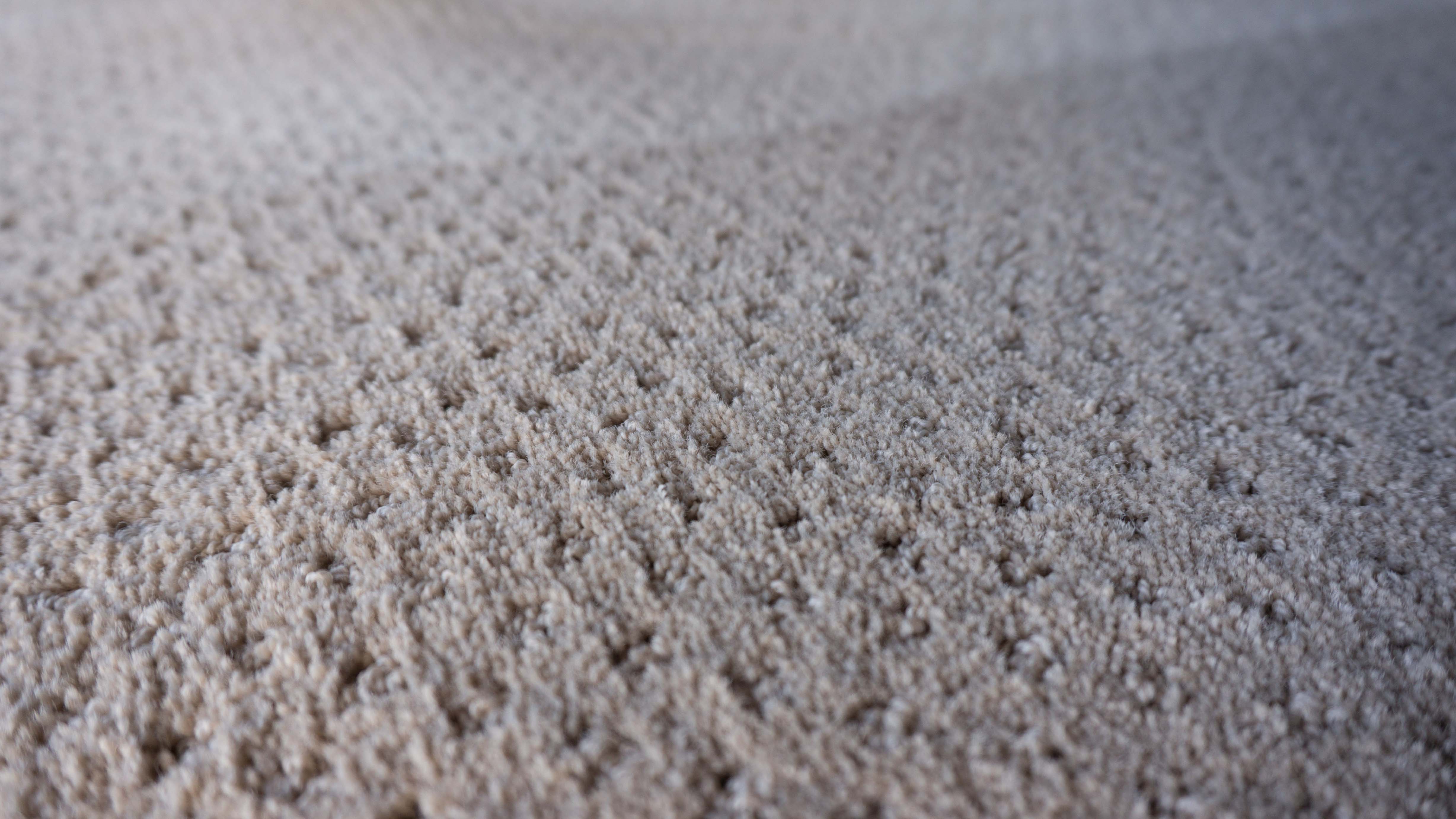 Carpet Manufacturer Warranties | PRO-LINE Cleaning Services, Inc.