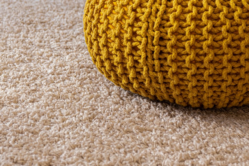 Carpet Cleaning Pro Line Services Inc