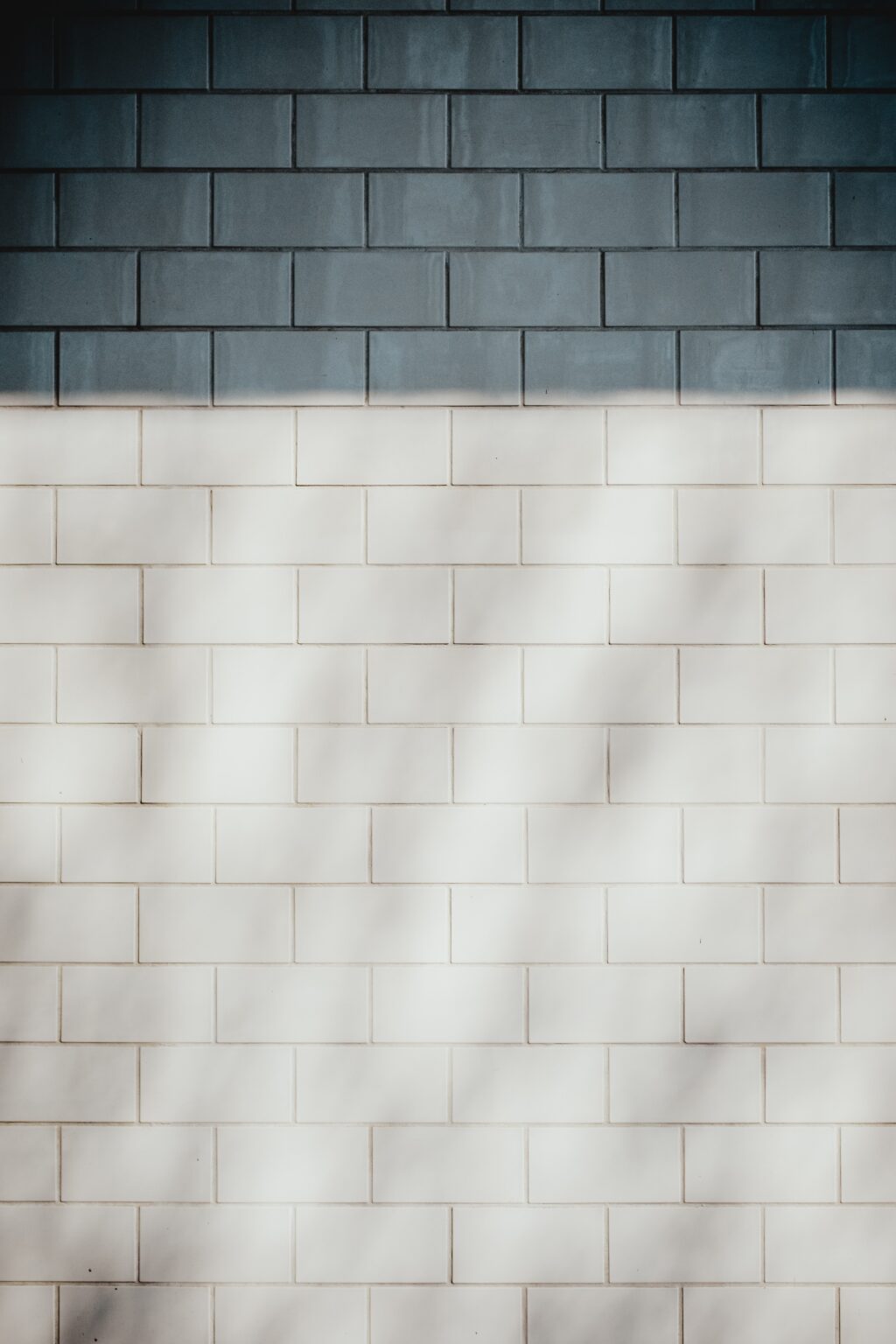 Tile & Grout Cleaning | PRO-LINE Cleaning Services, Inc.