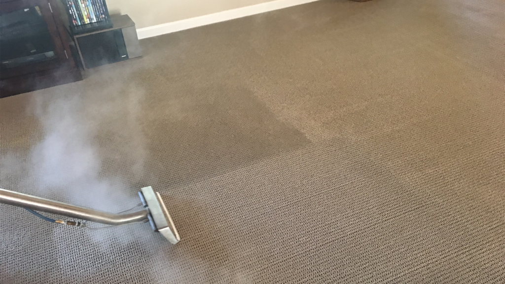 In progress photo of residential carpet cleaning